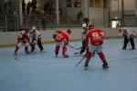 Einsatz total beim Auftakt-Spiel Österreich gegen Polen. Österreich siegte übrigens klar mit 6:1 (C) ÖRV