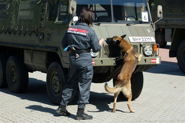 Zollhunde bei ihrer Arbeit (C) BMF